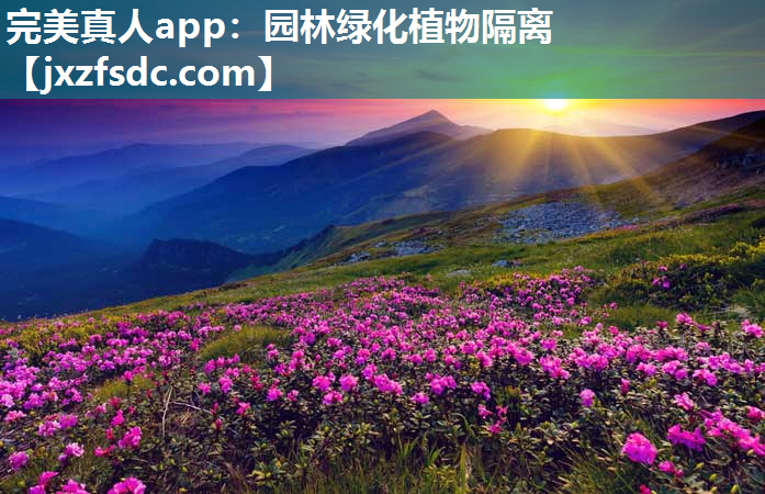 完美真人app：园林绿化植物隔离